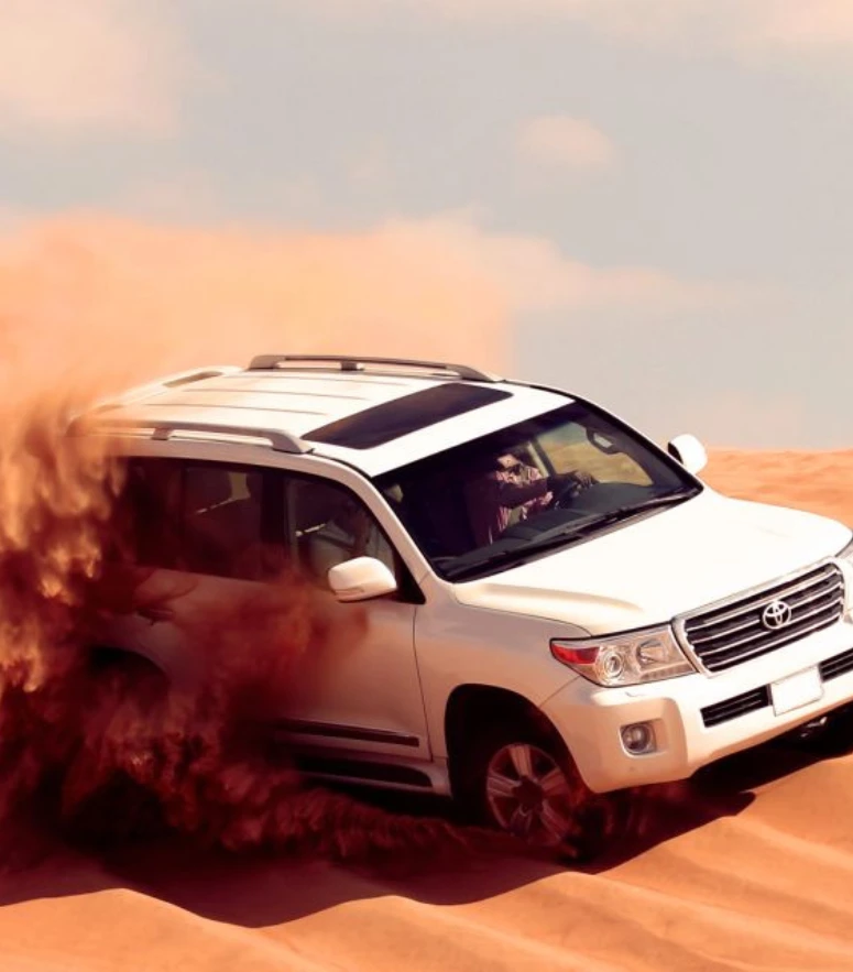 morning desert safari tour demo
