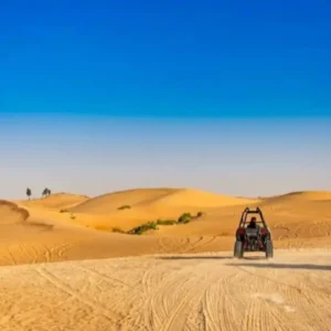 Your Riyadh Desert Safari Experience with Dune Bashing and Camel Ride in Riyadh