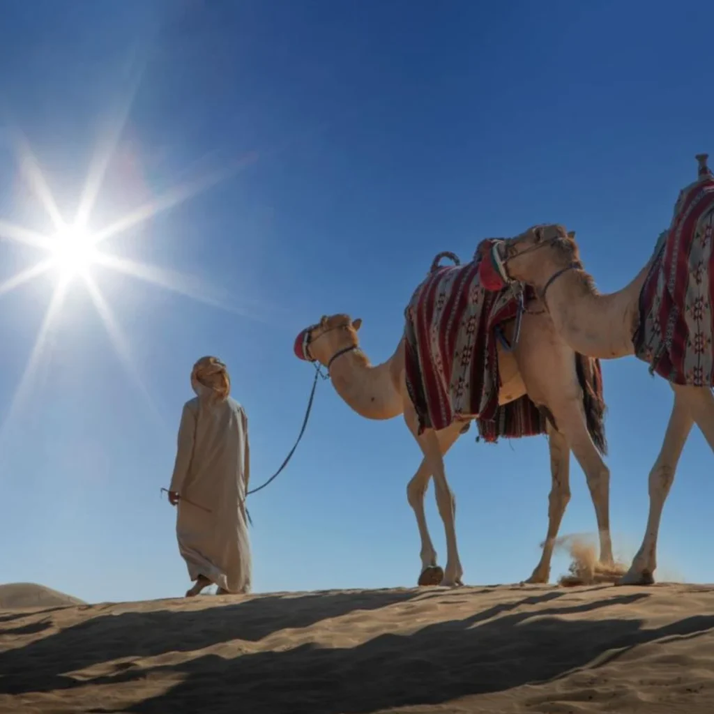 Discover the Beauty of Camel Ride Riyadh across golden desert dunes