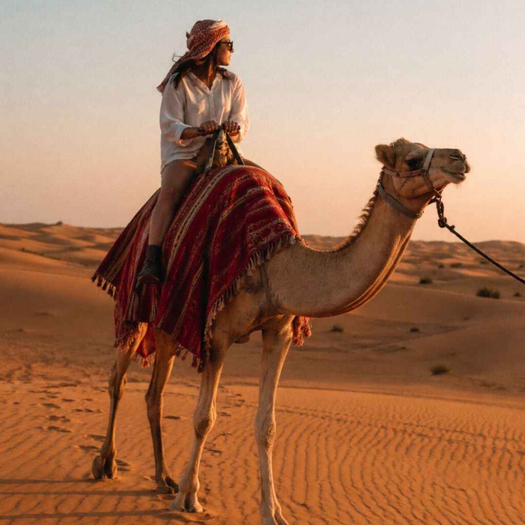 "Experience the Magic of Camel Ride Riyadh - Arabian desert safari adventure"