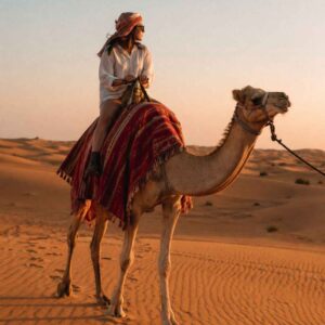 "Experience the Magic of Camel Ride Riyadh - Arabian desert safari adventure"