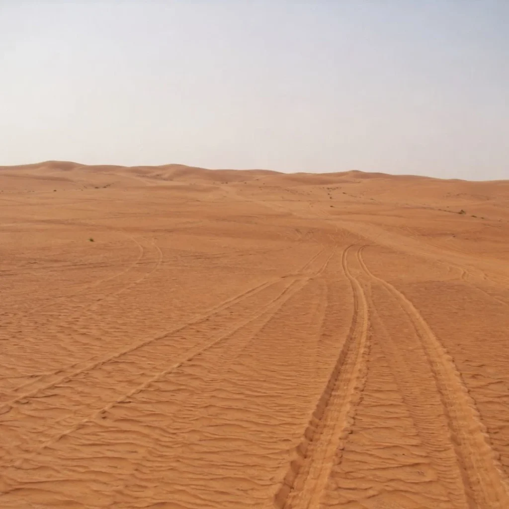 "Best Morning Desert Safari Riyadh – tourists enjoying camel rides and golden dunes at sunrise"