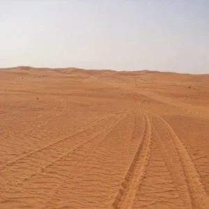 "Best Morning Desert Safari Riyadh – tourists enjoying camel rides and golden dunes at sunrise"